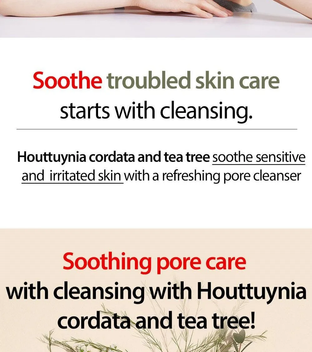 MARY&MAY Houttuynia Cordata   Tea Tree Cleansing Foam - 150ml